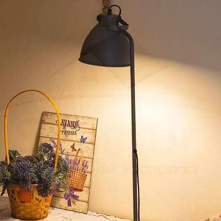 Casa Pedroarias Rodiles Апартаменты Вальявисьоса
